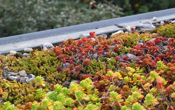 the cost of Blarnalearoch green roof installation
