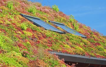 Blarnalearoch living roof systems