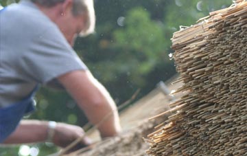 professional Blarnalearoch thatchers