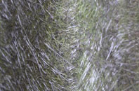 Blarnalearoch fibreglass roof work